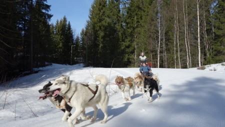 10.-11. april: Alpin og langrennstur. En uforglemmelig tur for den skiglade. 23. mai: 61 grader Fastland.