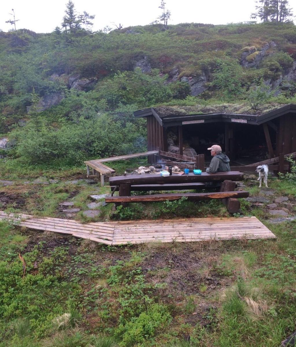 Litt senere organiserte og gjennomførte Ivar Elli hund/sau dressur hos Torstein Sørli i Henning, der 32 hunder deltok.