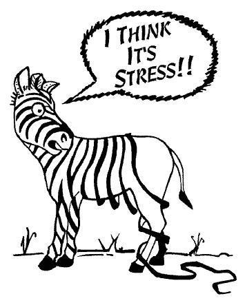 Stress Forståelsesvansker og endrede sanseopplevelser medfører ofte et høyere stressnivå hos personer med ASF Det
