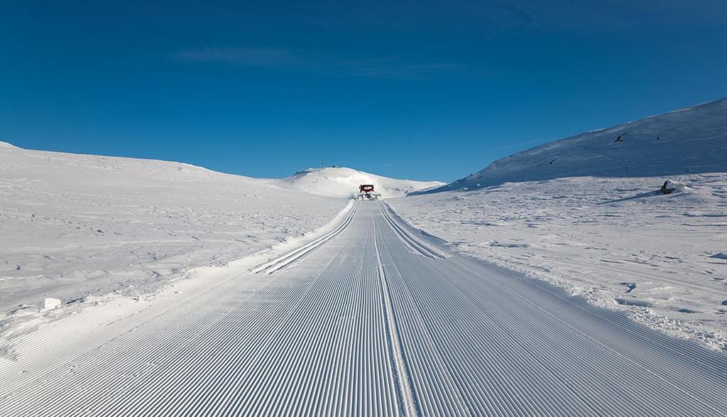 Vinterbrev 2018 fra styret i Synnfjellfoten Hytteierforening (SFHF) Det viktigste først J Det blir avholdt Årsmøte på Lenningen Fjellstue Langfredag, 30 mars, klokken 0900 til 1030.