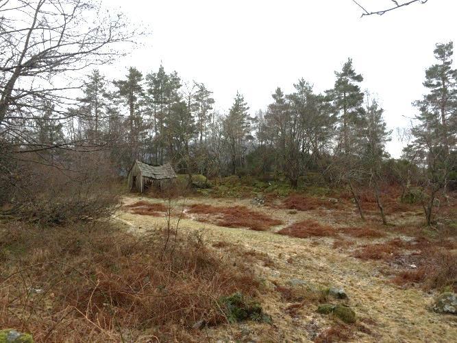 På disse sidene har vi sjekka ut forhold som arealbruk, natur, biologisk mangfald, landskap, kulturminner, friluftsliv, ras- og skred med meir.