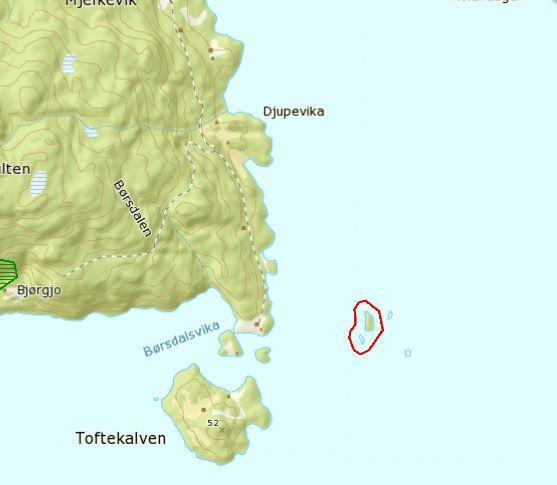 Utsnitt frå skog og landskap sitt