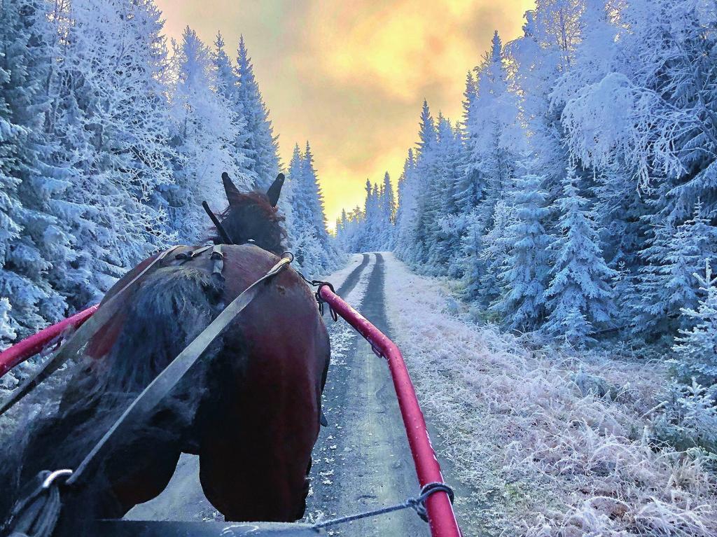 ÅRETS JULEGAVE? Kjenner du noen som har «alt» og du sliter med å finne på gave til? Da kan våre gavekort være en meget god løsning. Vi har gavekort på: amiliedager kr. 400,- pr.