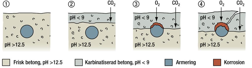 Karbonatisering Karbonatiseringsprosessen 1.