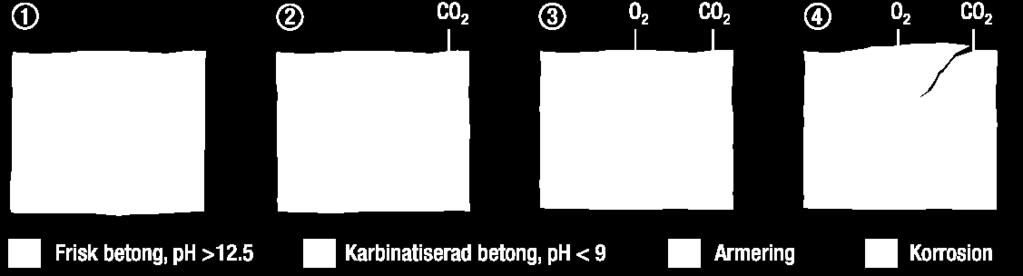 Karbondioksid (CO 2 ) i luften setter i gang