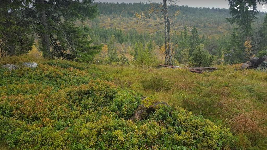 Til høyre skimter man Hytte nr 16 (Sverre Sandberg) som vurderte å bli med.