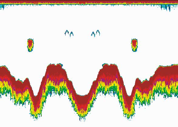 Simrad PI32 Ekkolodd Det innebygde ekkoloddet vil gi den informasjon om dybde, bunnkontur og tilstedeværelsen av fisk under fartøyet. Ekkoloddet kan bruke tre frekvenser, 38 khz, 50 khz and 200 khz.