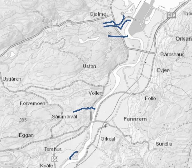 Reguleringsplan for Furumoen Vurdering etter vannforskriftens 12: Veileder til bruk av lovbestemmelsen (Klima- og miljødept) Drøfting i