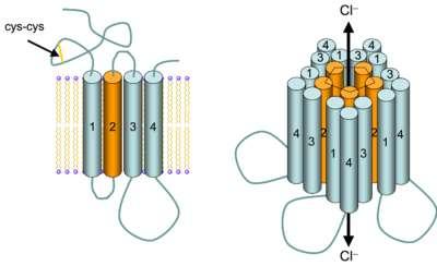 GABA-reseptor 5 subenheter,