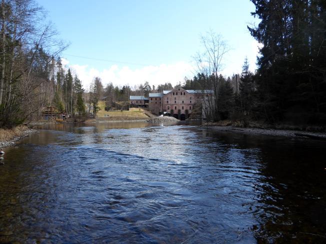 Figur 3. Til venstre elva nedstrøms Kistefoss kraftstasjon (ses i bakgrunnen) der elvemusling ble funnet i 2016/2017 og flyttet fra i 2017.