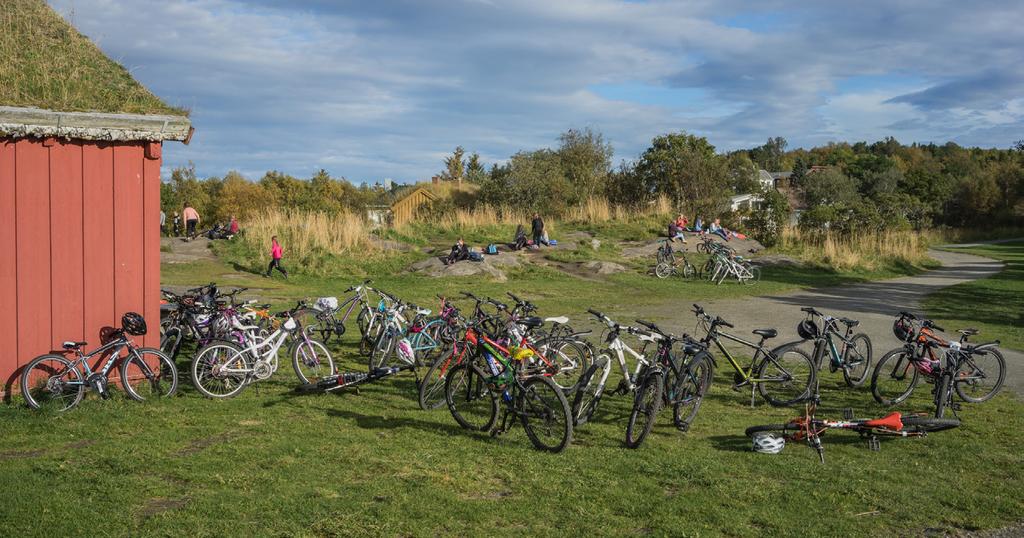 for motorisert trafikk. Dette vil ha positive effekter for miljøet, ettersom arealet kan benyttes til andre formål og man kan spare viktige landbruks- og grøntarealer.