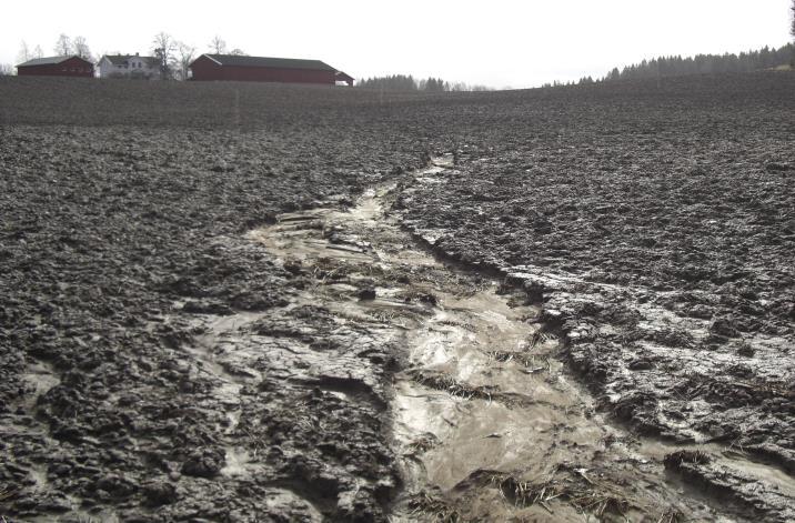 TEMAGRUPPE LANDBRUK Lars Martin Julseth, Landbrukskontoret i Follo (leder) Tormod Solem, Landbrukskontoret i Follo Reidar Haugen, Ski kommune Eli Moe, Frogn kommune Tom Wetlesen, Ås Landbrukslag