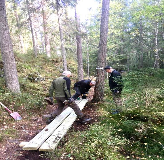 -5 - NYTT FRA KOMITÉENE -- 1. Lionsstubben aktiv dugnad Dugnadsgjengen.