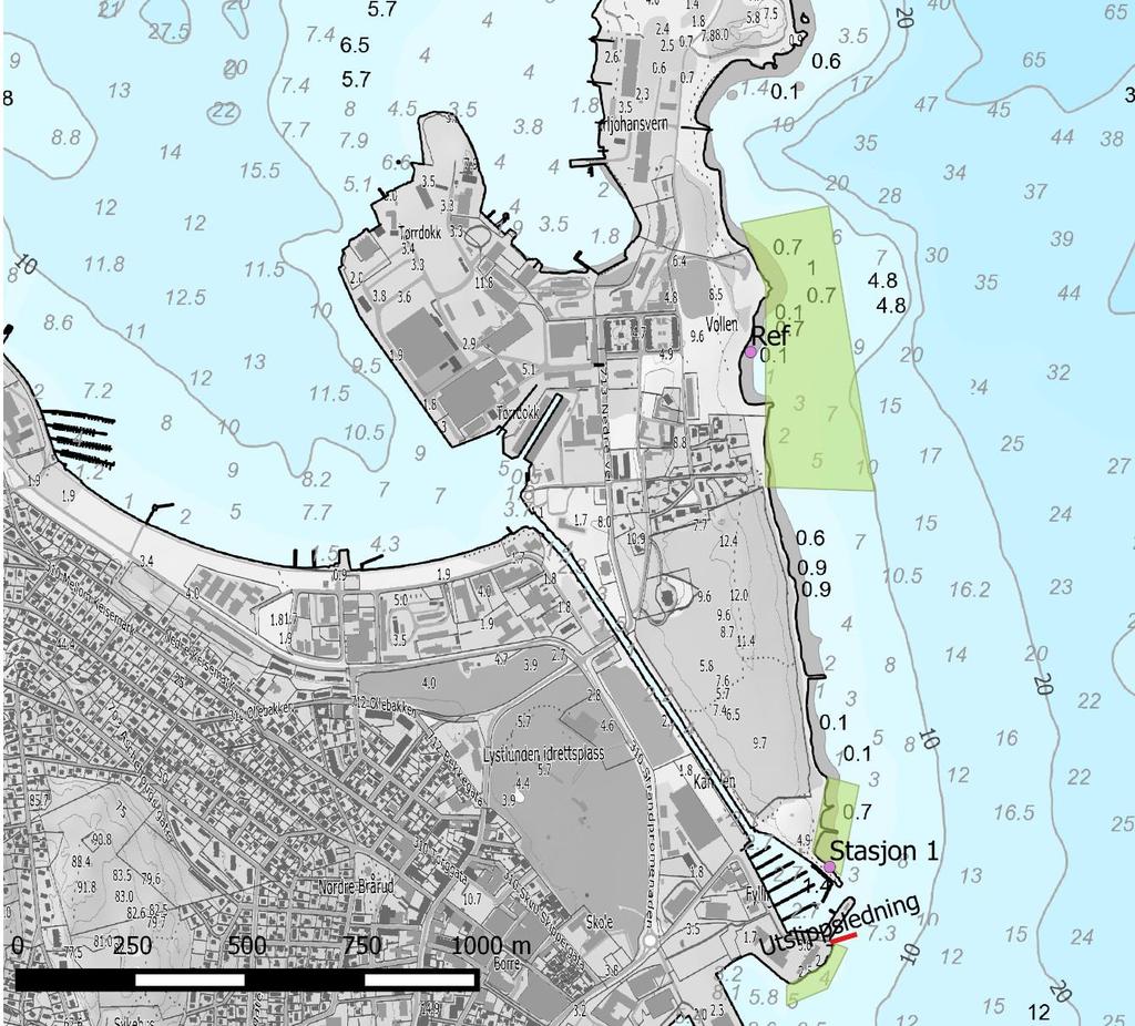 Figur 3: Kart over prøvetakingsstasjoner for blåskjell. Grønne felter viser foreslåtte prøvetakingsområder i overvåkingsprogrammet.