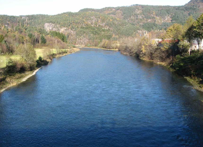 Oppstrøms Tjelmane bru er landskapet åpent, elva bred og elvebredden relativt bratt opp til første
