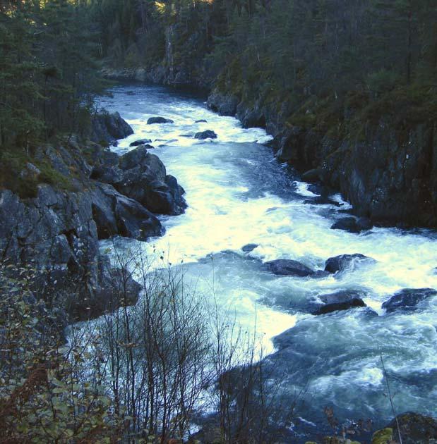 Juvet eller Juvfossen ligger vel 6 km ovenfor utløpet i Sandsfjorden og