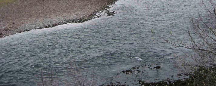 Oppstrøms Førland bru er landskapet åpent og elva svært bred og grunn.