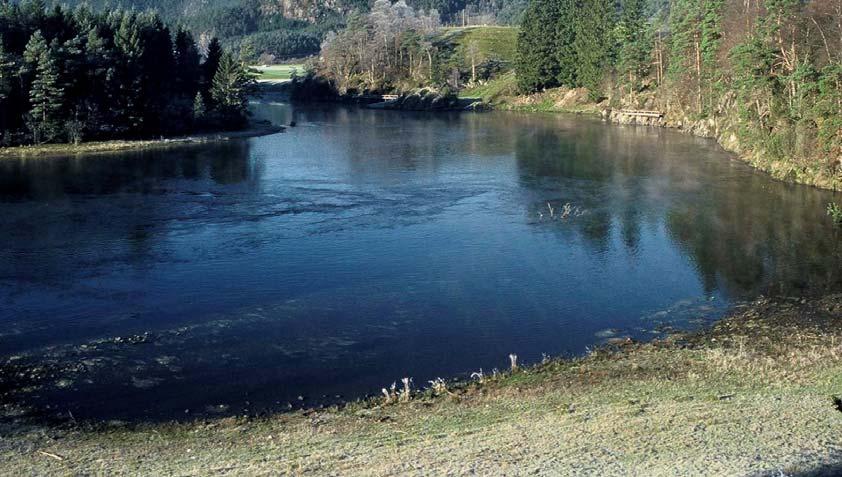 Steinshølen er en av de mange fine fiskekulpene i