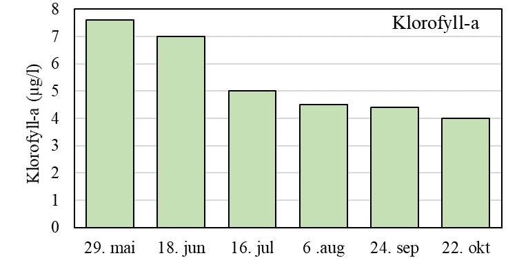 Analysert som algevolum var algemengdene i 2017 høye, og et gjennomsnitt på 0,4 mg/l tilsvarer tilstand «moderat».