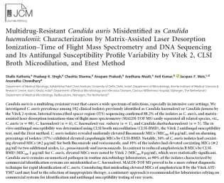 C. auris vanskelig å identifisere med konvensjonelle mikrobiologiske metoder Candida haemulonii Candida famata Candida sake Rhodutorula glutinis Rhodutorula mucilaginosa Saccharomyces spp.