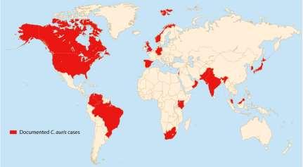 Jeffery-Smith A et al. Clin Microbiol Rev 2018;31:1 Geografisk fordeling av C.