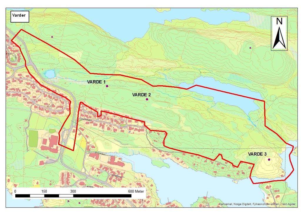 Undersøkelsesmetoder Planområdet ble undersøkt for automatisk fredede kulturminner ved hjelp av visuell overflateregistrering.