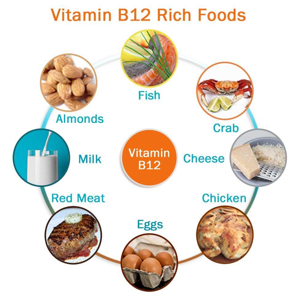 Vitamin B 12 understøtter veksten hos barn,