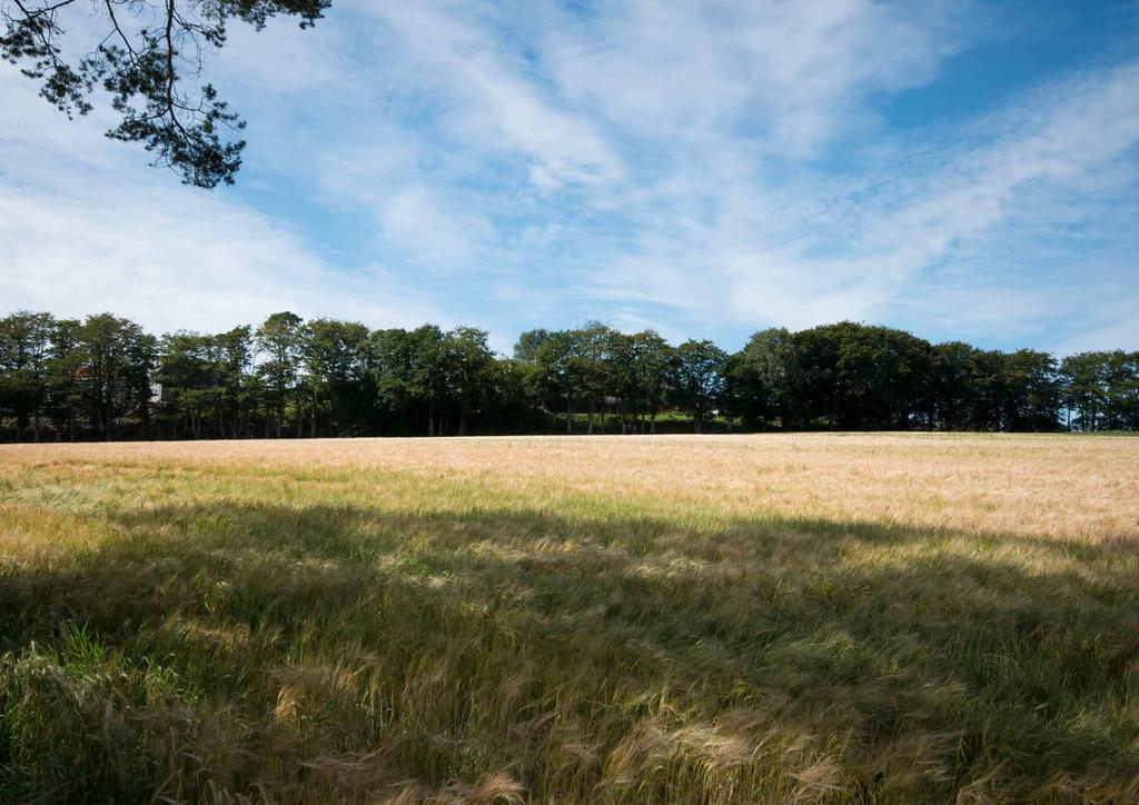 Beskrivelse INNLEDNING Prosjektet Møldalhagen ligger i Madla bydel, i Stavanger kommune.