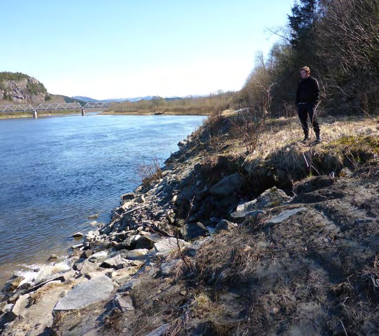 Vandringshinder ved elveforbygninger langs Gaula, Namsen og Stjørdalselva