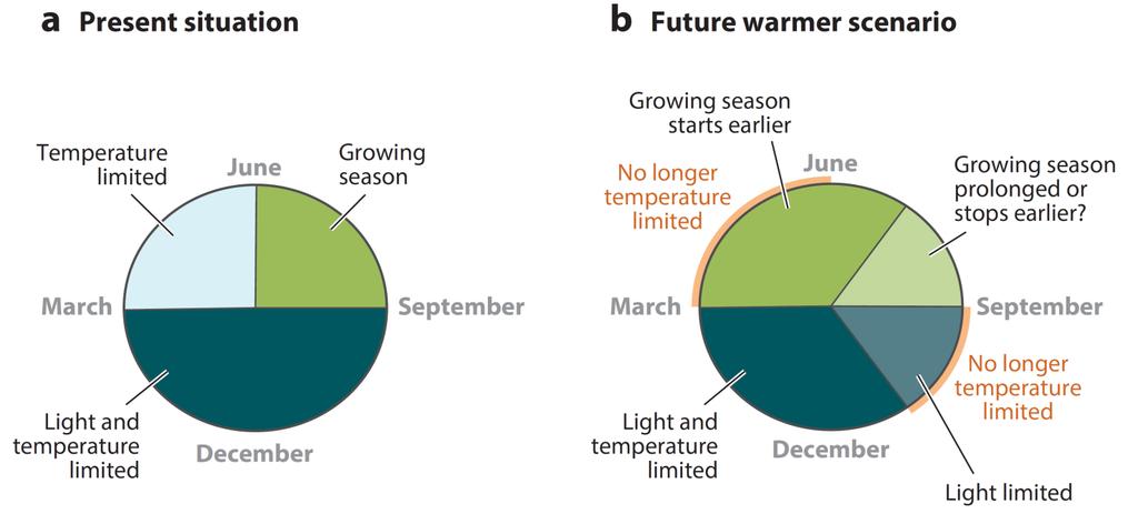 Virkningen av global oppvarming på vekstsesongens lengde