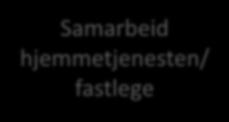 hjemmetjenesten/ fastlege