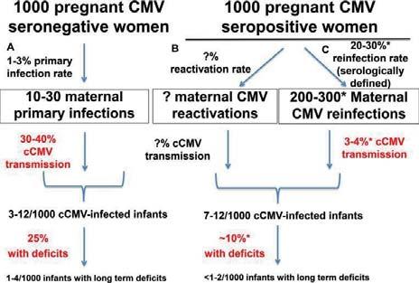 Review and meta-analysis of the epidemiology of congenital 43 cytomegalovirus infection.