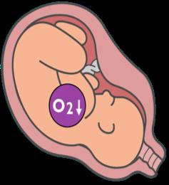 graviditeten lever foster med lav O 2 i blodet,