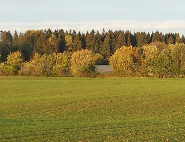 Agenda De ulike næringsstoffene Gjødselnormer,