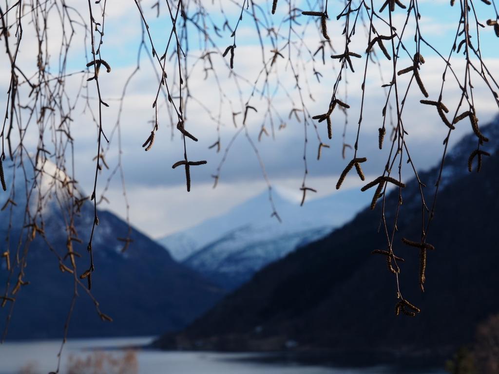 Boligmarkedet i Bergen Bergen