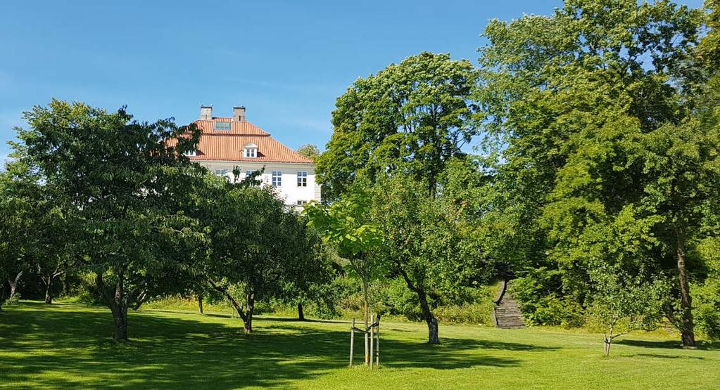 Fornebuporten Tyngdepunkt for næring