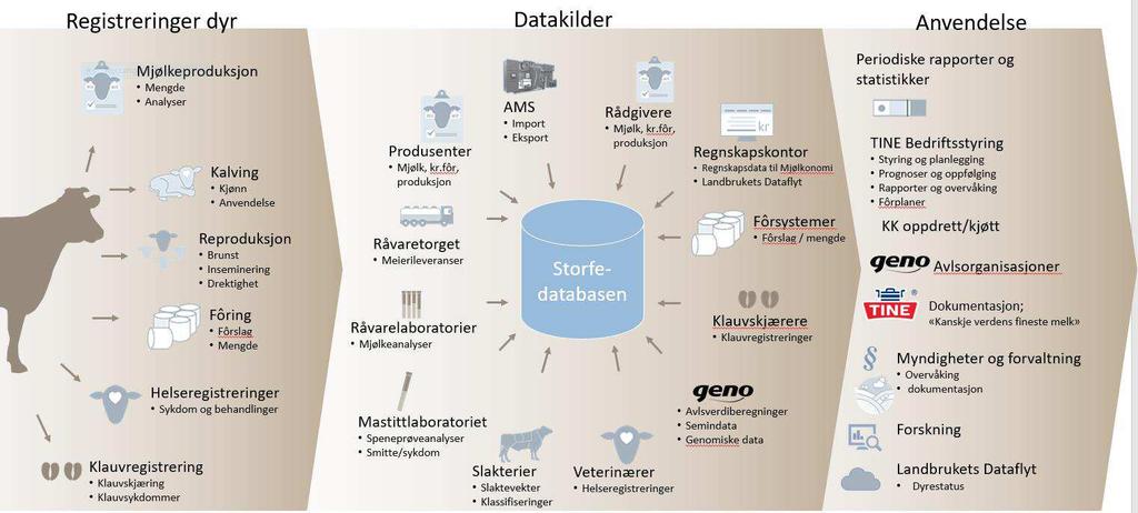 STATISTIKKSAMLINGEN 2017 I statistikksamlingen for 2017 inngår statistikker basert på informasjon fra Kukontrollen og Geitekontrollen. 6.