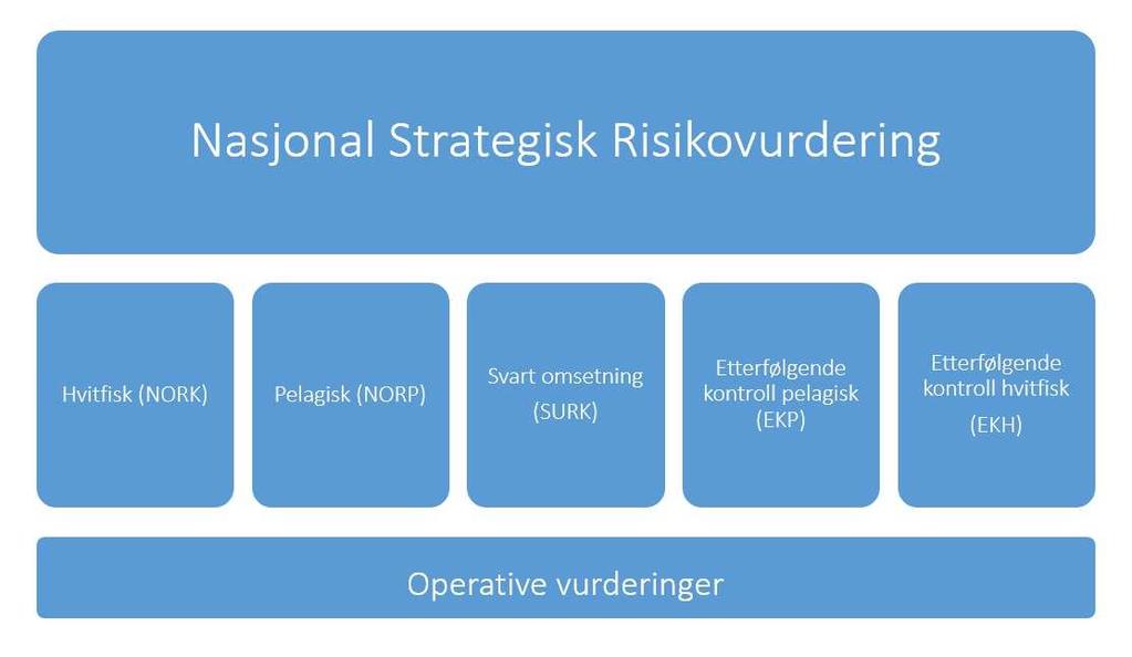 5 Kontrollorganenes ansvar Kontrollorganene skal, på bakgrunn av de nasjonale hovedrisikoområdene risikovurdere og håndtere risikoen innenfor tilgjengelige ressurser.