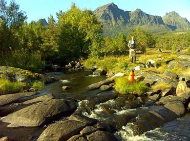 HaLi-2 : Det ble på stasjonen i utløpselven fra Lilandsvann funnet 3 taksa fra bunndyrgruppen døgnfluer, 1 representant fra gruppen steinfluer og 2 fra gruppen vårfluer altså i alt 5 EPT taksa, (fig.