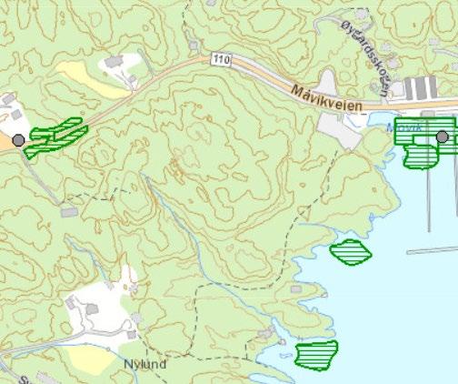 I innsynsløsningen naturbasen (se Figur 8) (http://kart.naturbase.n) freligger det nen registreringer i nærheten av planmrådet, men ingen registeringer i planmrådet. Figur 9 Fra naturbasen.