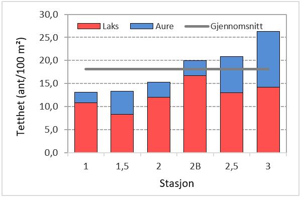 Figur 6. Tetthet av presmolt laks (rød) og aure (blå) på de ulike stasjonene i Førreåna 13. oktober 2016. Gjennomsnittlig presmolttetthet er vist med grå strek.