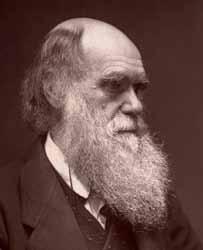 Tanker i tida 8 Darwinismen I 1859 kom Charles Darwin (1809 1882) med boka On the Origin of Species (Om artenes opprinnelse): Mennesket var ikke skapt i Guds bilde, men var et ledd i en lang