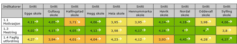 De fleste skolene må gi elevene større faglige utfordringer mens de fleste elevene føler at de mestrer.