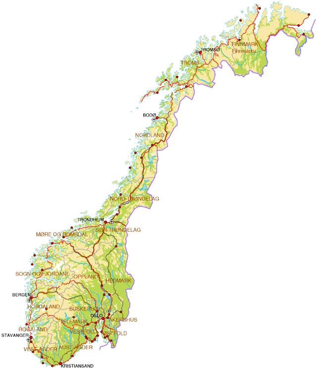 Erfaringer andre norske kommuner