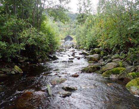 Figur 5. Prøvetakingsstaden i Torvikelva i Eid kommune. Oversikt over elva til venstre og detaljar for substrat til høgre.