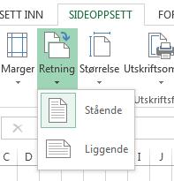 Oppskrift 7:Utskrift vanlig utskrift og formelutskrift 1. Vanlig utskrift: Før du tar vanlig utskrift, sjekk dette: har du topptekst og rad- og kolonne? Er oppgaven på ett ark? Alt ok?