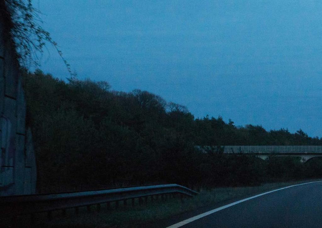 Lengst mulig kjørelengde I dagens transportbransje handler det mer om økonomi enn eventyr. Hold hjulene profitabelt i gang ved å ta de viktige, riktige valgene.