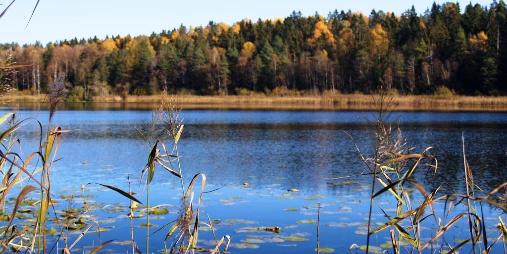 5. DÆLIVANNET (Bærum) Status: Eutrof kalksjø (E07). Verdi: Ikke verdivurdert Nr Lok. ph Kalsium Lednings evne Hoh m mg Ca/l µs/cm * 5 Dælivannet 7.