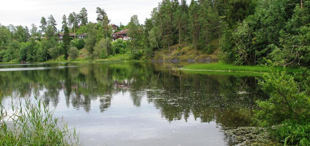 Verdivurdering: Tranevannet er en middels kalkrik, oligotrof sjø som ikke kan verdivurderes etter de kriteriene som ligger i handlingsplanen for kalksjøer. 13.