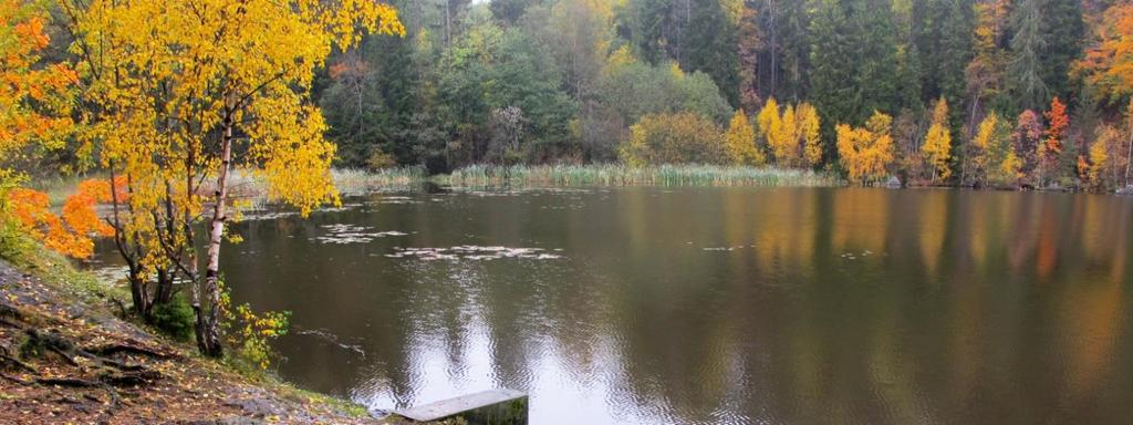 Verdivurdering: Tjernet Bjerkås er en eutrof kalksjø (E07 (EN).